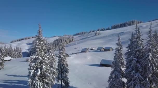 Sobrevolando el bosque, las montañas y las casas de pastores en invierno — Vídeo de stock