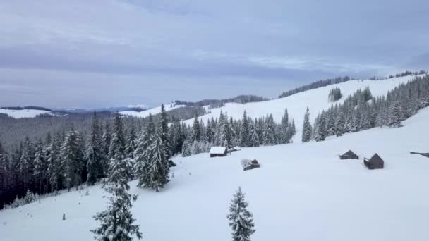 Sobrevolando el bosque, las montañas y las casas de pastores en invierno — Vídeo de stock