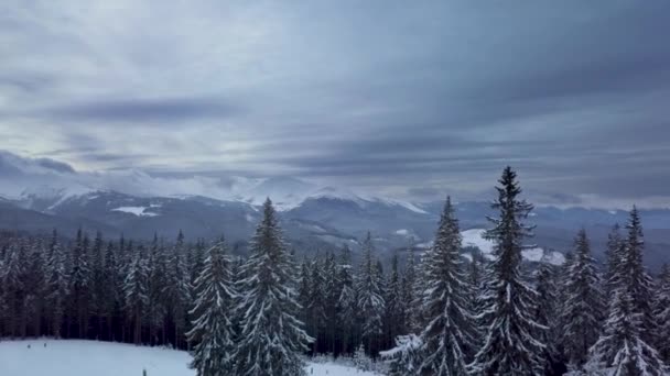 Volando sobre el bosque y las montañas en invierno — Vídeo de stock