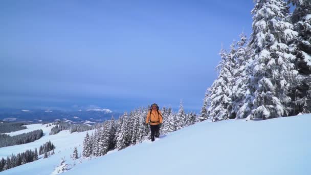 Un touriste marche à travers la neige dans les montagnes . — Video