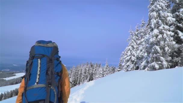 Ein Tourist spaziert durch den Schnee in den Bergen. — Stockvideo
