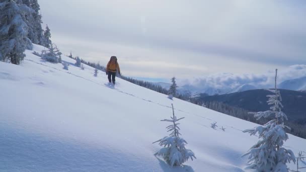 En turist vägleder genom snön i fjällen. — Stockvideo