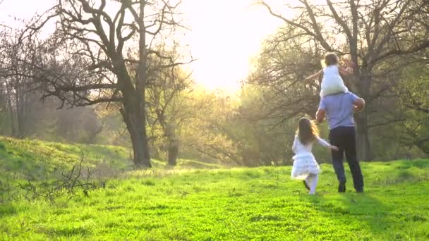 父亲与女儿在公园里玩耍 — 图库视频影像