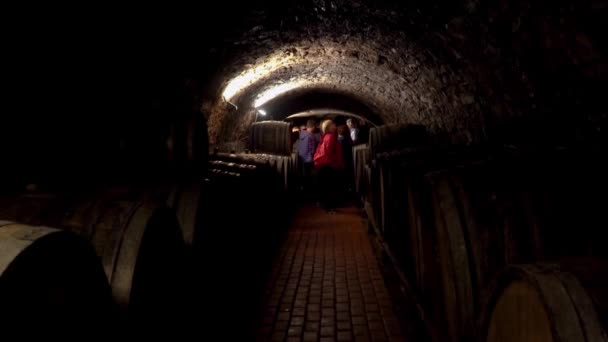 Wine barrels stacked in a old cellar at winery — Stock Video