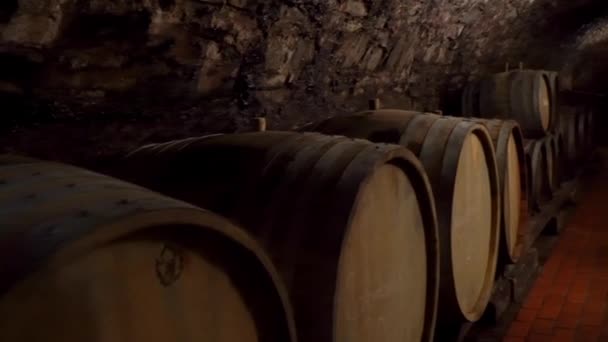 Barricas de vino apiladas en una antigua bodega de la bodega — Vídeo de stock