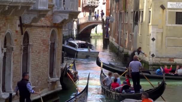 観光客でゴンドラが通り、ヴェネツィアの狭い運河に沿って泳ぐ — ストック動画