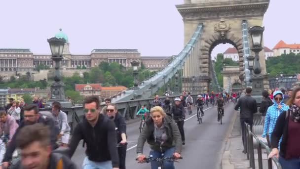 Parade of cyclists in Budapest — Stock Video