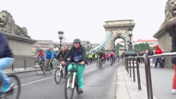 Parad av cyklister i Budapest — Stockvideo