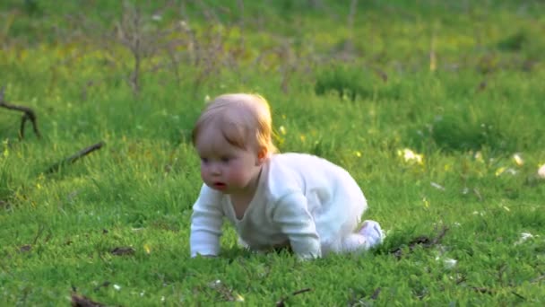 Kleine baby op het gras — Stockvideo