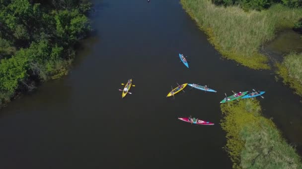 Kajaky plují po řece — Stock video