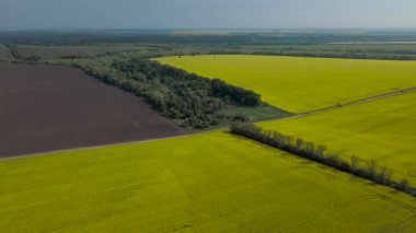 Ukrayna Tarım Alanları Panorama Ukrayna Panorama