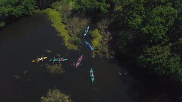 Kajaky plují po řece — Stock video