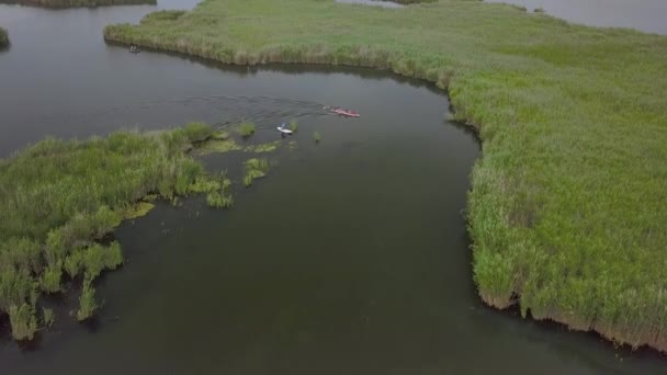 Kayak y Sup navegando en el río — Vídeos de Stock