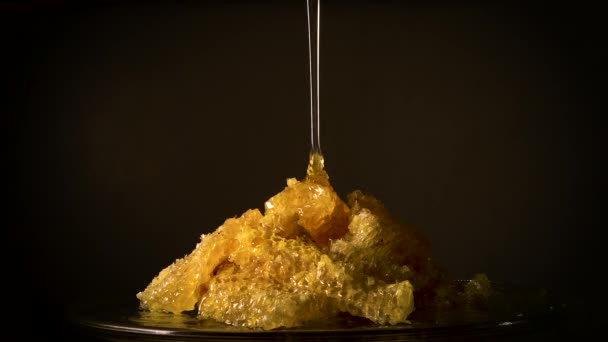 Мед течет по гребню меда — стоковое видео