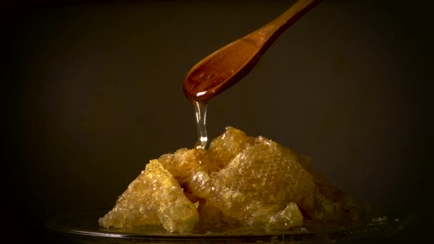 La miel fluye de una cuchara de madera en un panal — Vídeos de Stock