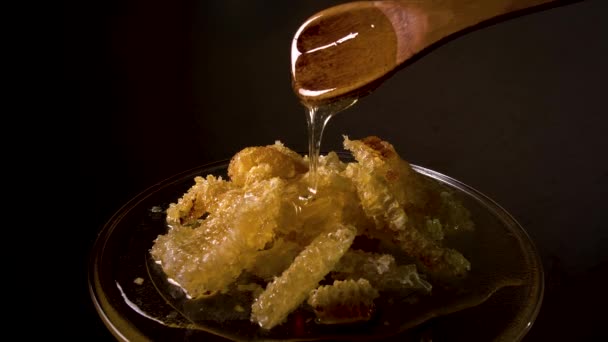 Honey flows from a wooden spoon on a honeycomb — Stock Video