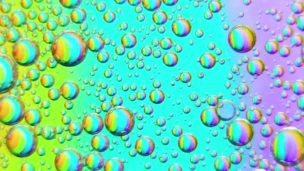 Colorido artístico de la gota de aceite flotando en el agua — Vídeo de stock