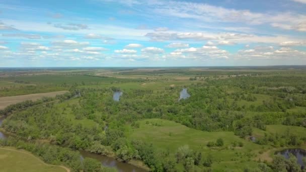 Let přes zelenou louku, les a řeku na jaře — Stock video