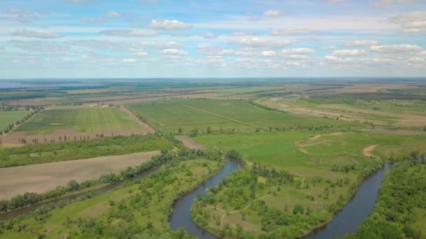 Volo sul prato verde, bosco e fiume in primavera — Video Stock