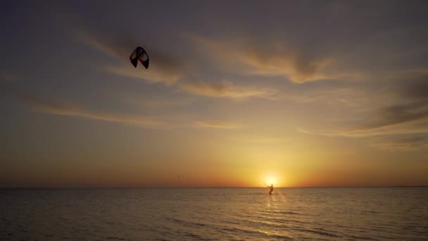 Kiter está treinando para controlar a pipa no mar — Vídeo de Stock