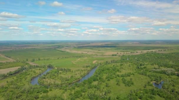 Terbang di atas padang rumput hijau, hutan dan sungai di musim semi — Stok Video