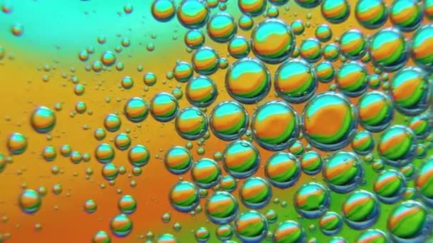 Bunte Kunst von Öltropfen, die auf dem Wasser treiben — Stockvideo
