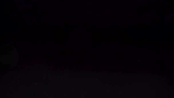 Kirschtomaten fallen in Zeitlupe vor schwarzem Hintergrund auf Wasser — Stockvideo
