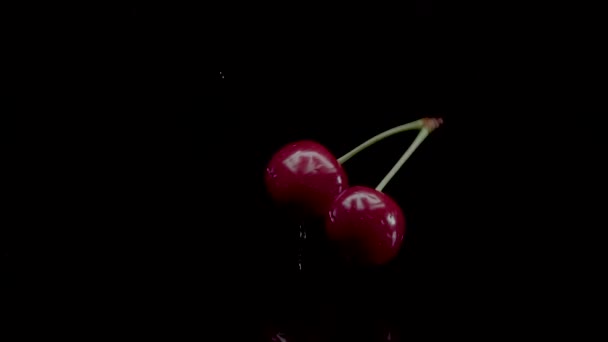 Primer plano de cámara lenta de cereza cayendo en el agua con gotitas Splash — Vídeo de stock