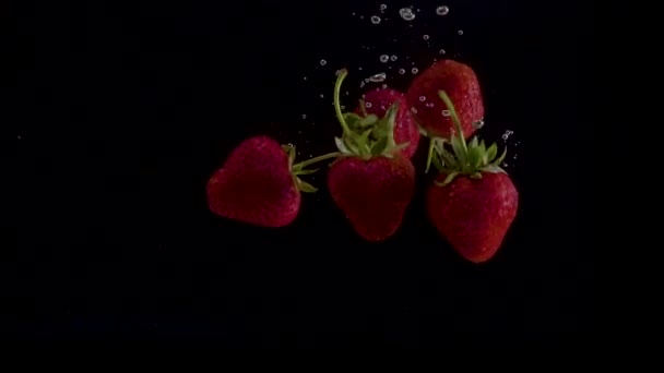 Strawberry slow motion closeup falling in water — Stock Video