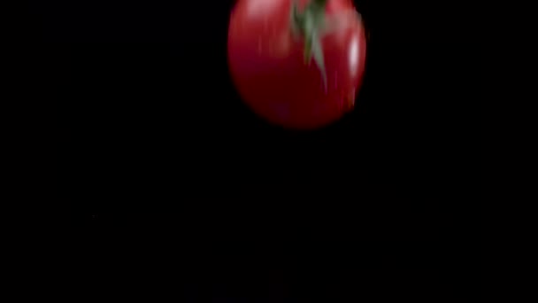 Черри помидоры падают на воду в замедленной съемке на черном фоне — стоковое видео