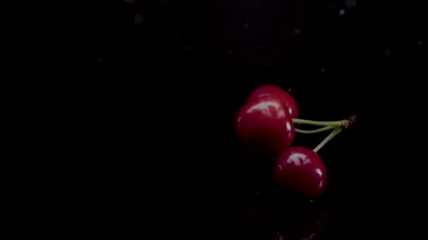Cherry slow motion närbild faller i vatten med stänk droppar — Stockvideo