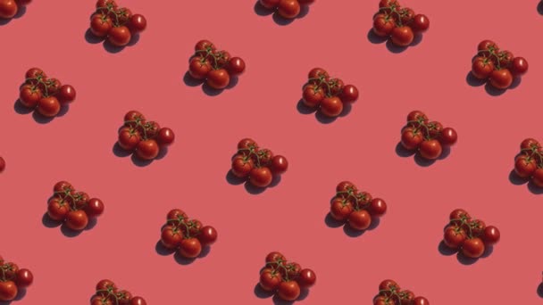 Modello con molti pomodori animati su sfondo rosso — Video Stock