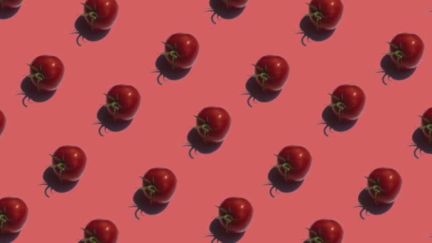 Wzór z wieloma pomidorami animowanymi na czerwonym tle — Wideo stockowe