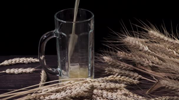 Cerveza con espuma y trigo. Verter cerveza en un vaso . — Vídeos de Stock