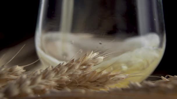 Pouring beer into the glass — Stock Video