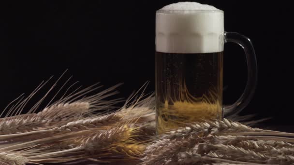 啤酒加泡沫和小麦 — 图库视频影像