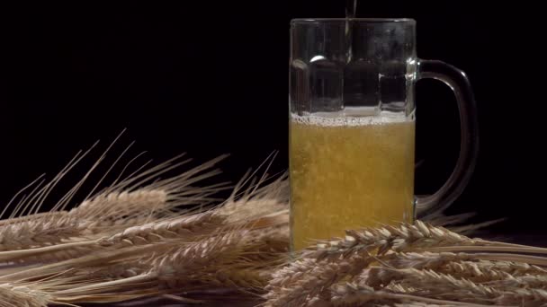 Cerveza y trigo. Cerveza se vierte en un vaso — Vídeos de Stock