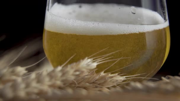 Cerveza con espuma y trigo — Vídeos de Stock
