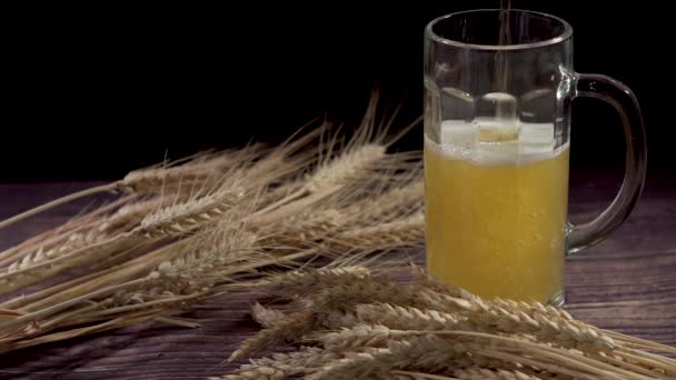 Bier und Weizen. Bier ins Glas gießen. — Stockvideo