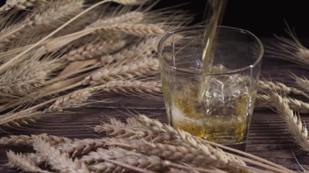 Whisky und Gerste. Whisky wird ins Glas gegossen — Stockvideo