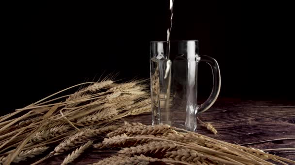 Beer with foam and wheat. Pouring beer into glass. — Stock Video