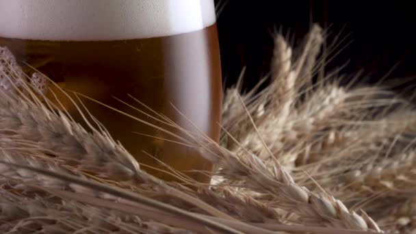 Bier in het glas gieten — Stockvideo