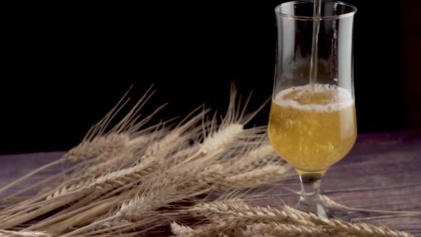 Bier in het glas gieten — Stockvideo
