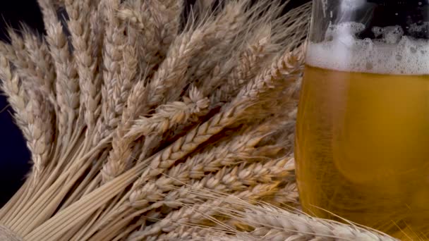 Birra con schiuma e grano — Video Stock