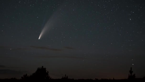 O cometa move-se através do céu noturno entre as estrelas — Vídeo de Stock