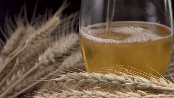 Pouring beer into the glass — Stock Video