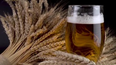 Köpüklü bira ve buğday