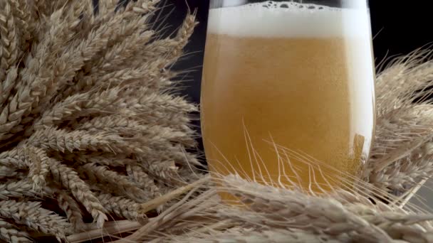 Наливание пива в стакан — стоковое видео