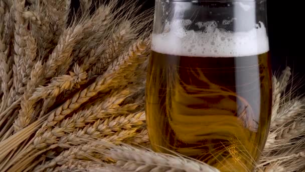 Beer with foam and wheat — Stock Video