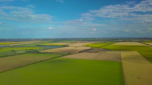 Flying over agricultural fields — Stock Video